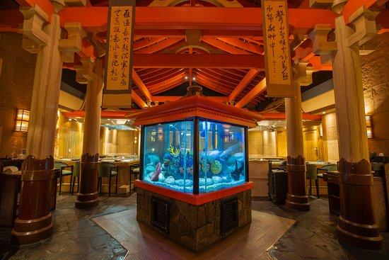 Shogun Japanese Restaurant